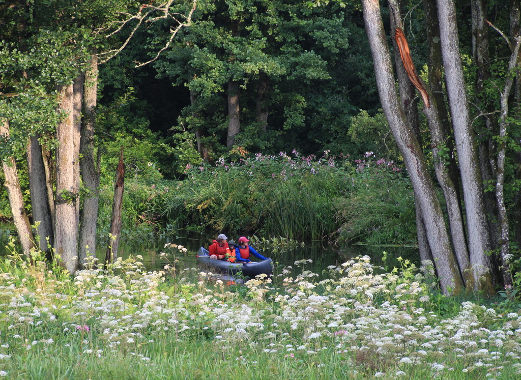 Kayaks at the bottom of the garden by kiwinanna