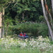 Kayaks at the bottom of the garden by kiwinanna