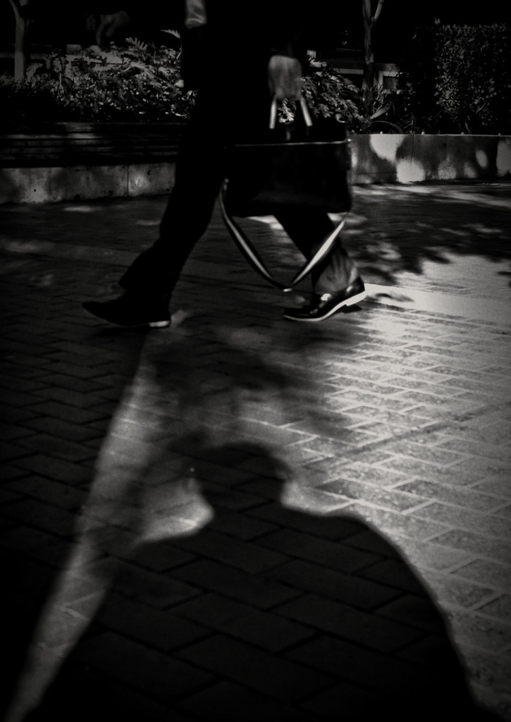shadow walker by annied