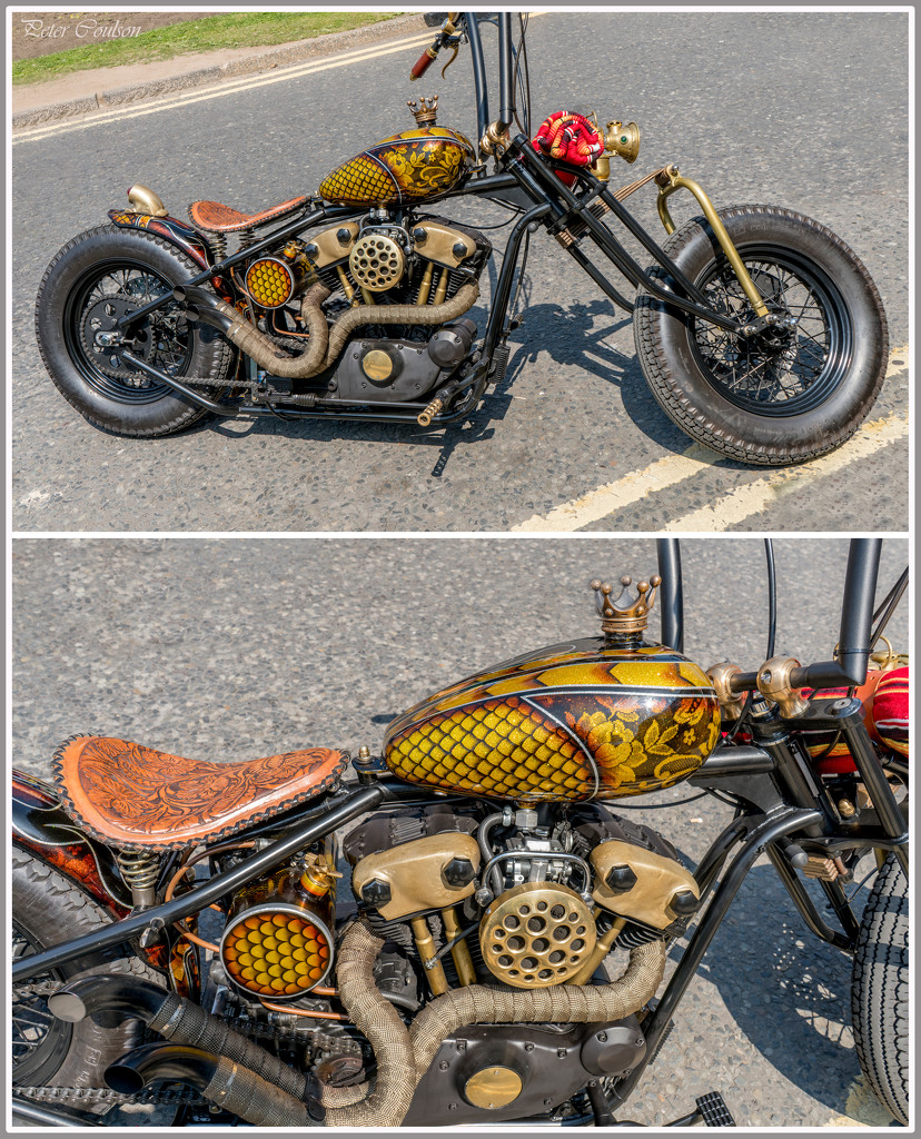 Custom Harley by pcoulson