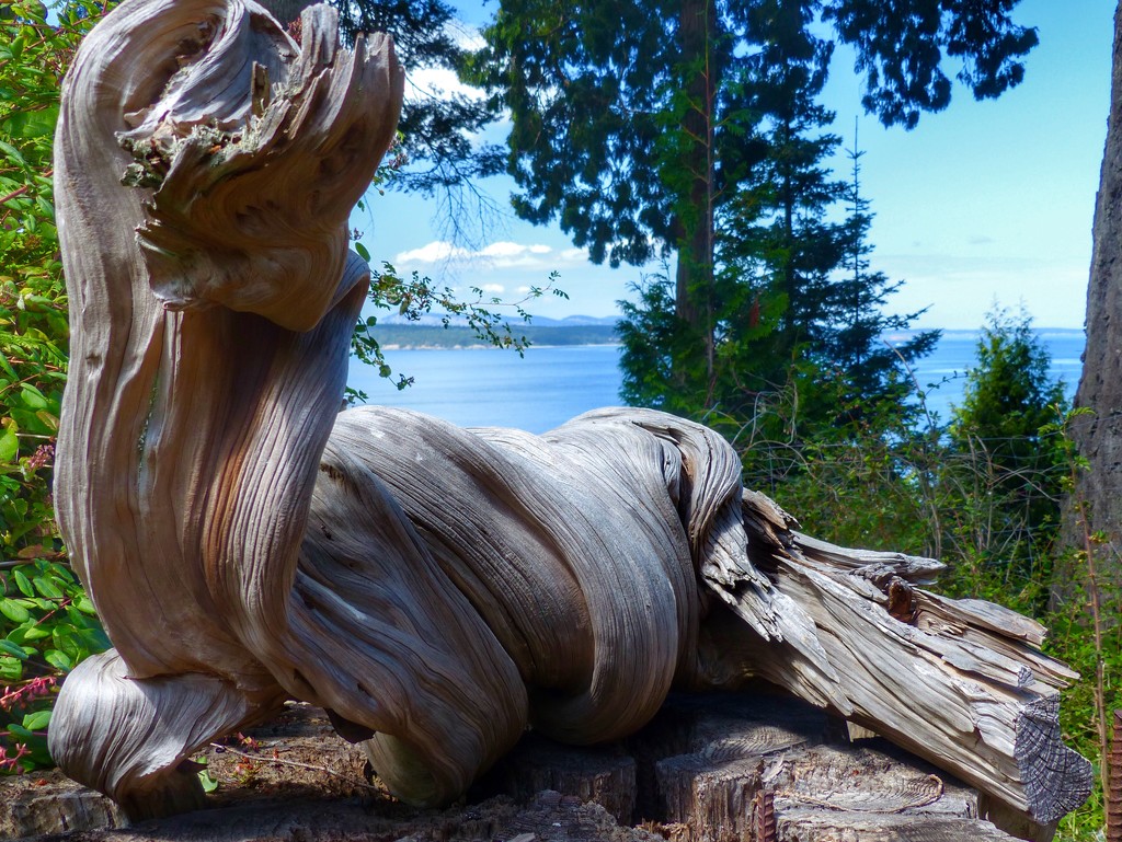 Driftwood Sculpture by redy4et