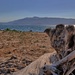 The beach at Ansedonia by spectrum