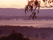 1st Aug 2016 - Sunrise - the mist over the swamp