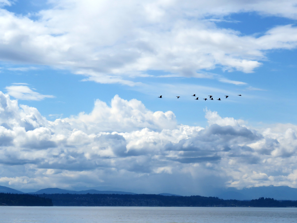 Flying Across Puget Sound by seattlite