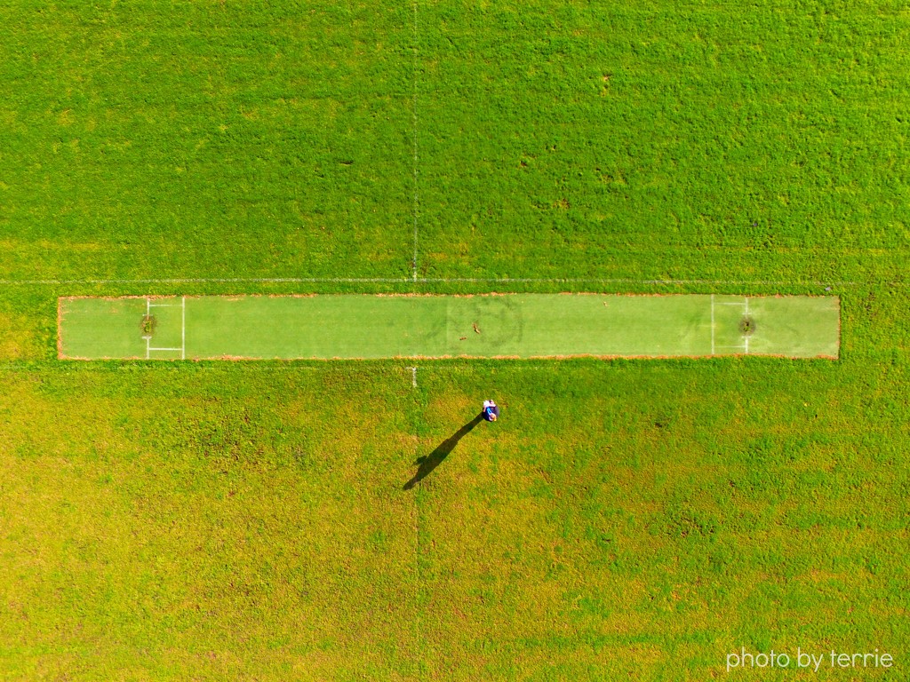 Selfie on the cricket pitch by teodw