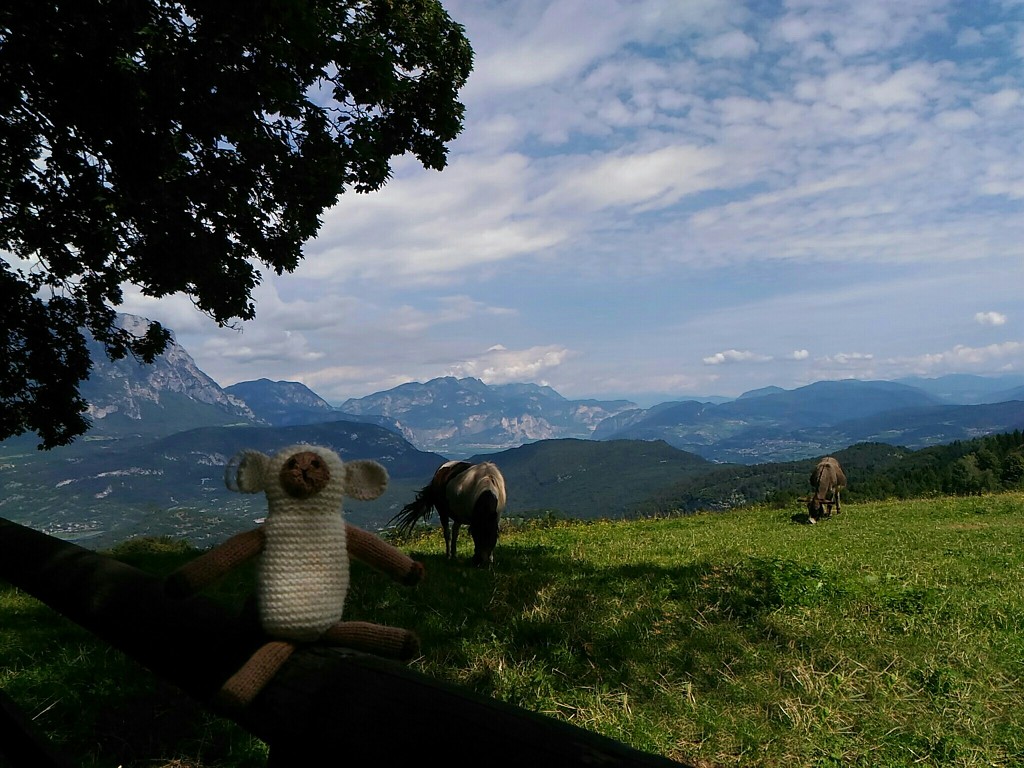 The pony, the donkey, the mountains and Mr Pecora (sheep)... by frappa77