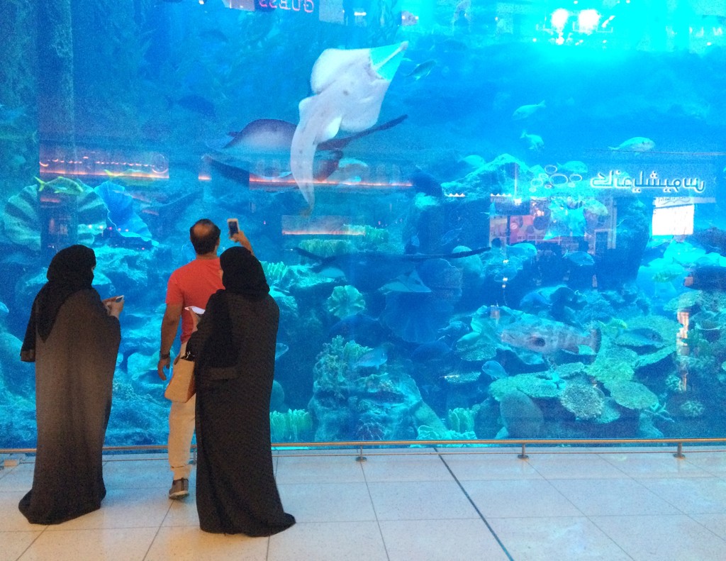 Dubai Mall by narayani