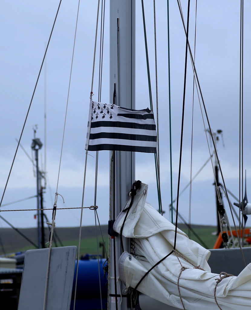 Harbour Flags #17 - Brittany by lifeat60degrees