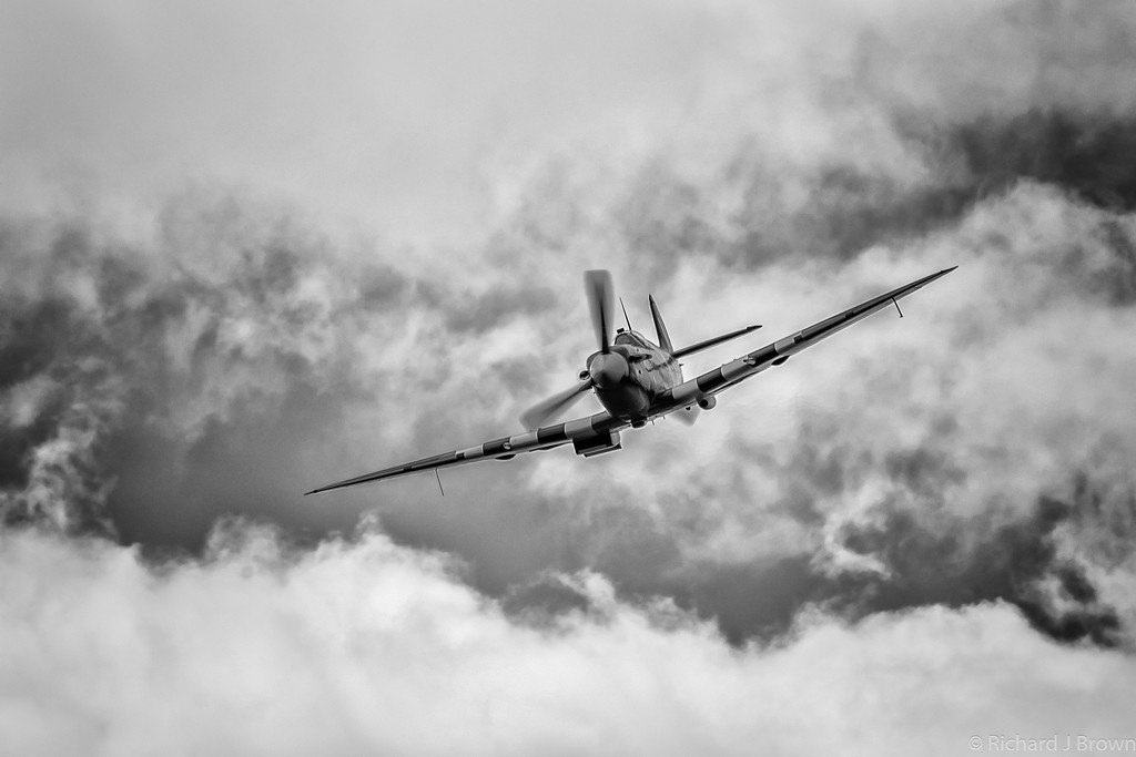 Spitfire  by rjb71