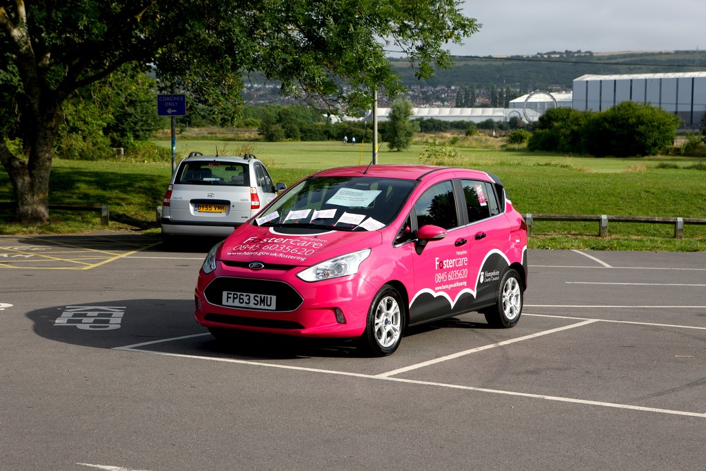 Pink Car Fostering Care by davemockford