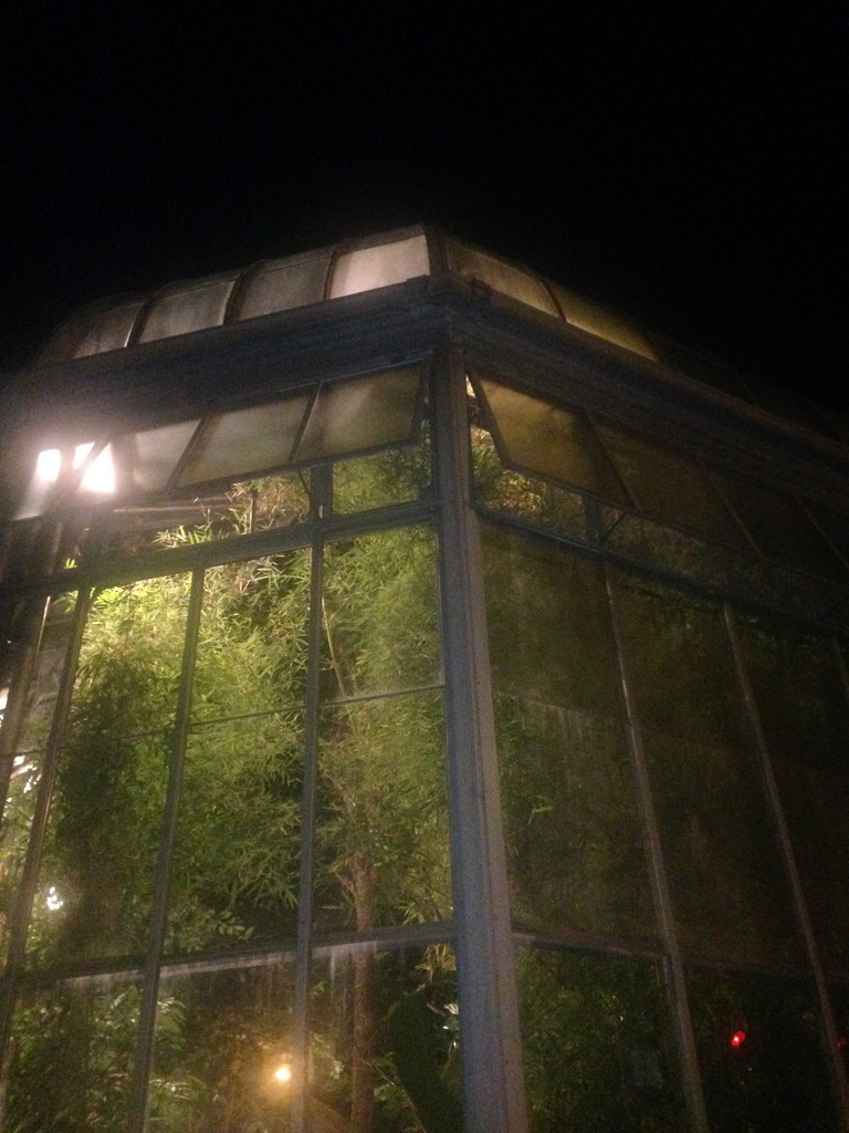 Greenhouse at night  by gratitudeyear