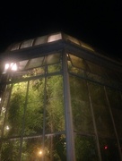 3rd Aug 2016 - Greenhouse at night 