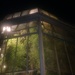 Greenhouse at night  by gratitudeyear
