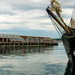 Halifax Pier by novab