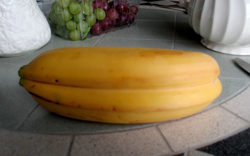 Siamese Banana? by g3xbm