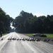 Goose herding at Jack Miner's by harrowjet