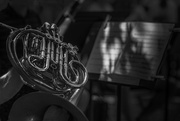 6th Aug 2016 - French Horn Plays in the Park