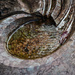 Fountain detail......with leaf by jeneurell