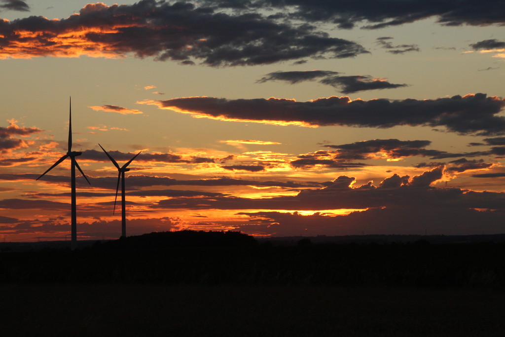 Windfarm sunset by busylady