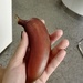 Red banana by nami