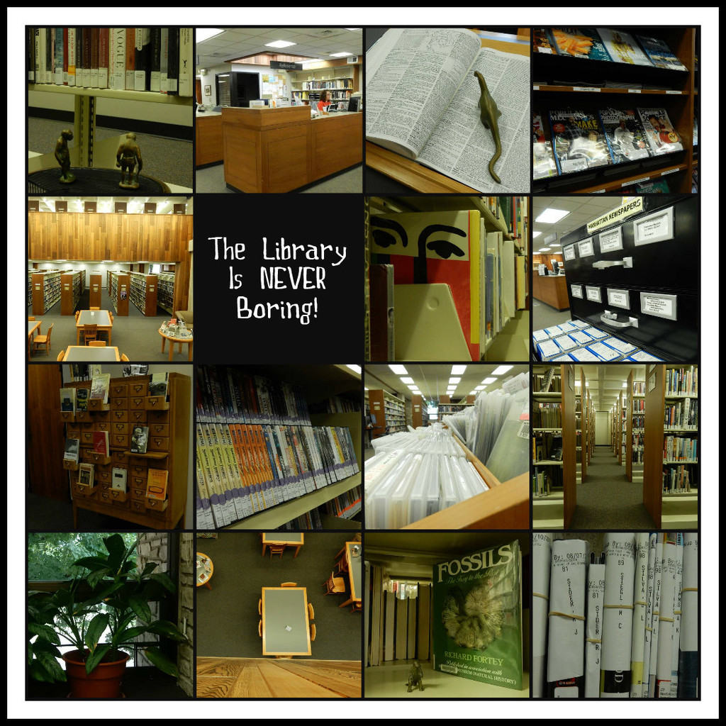The Library is NEVER Boring by mcsiegle