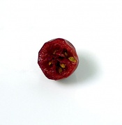 11th Dec 2010 - Vivisection of a cranberry