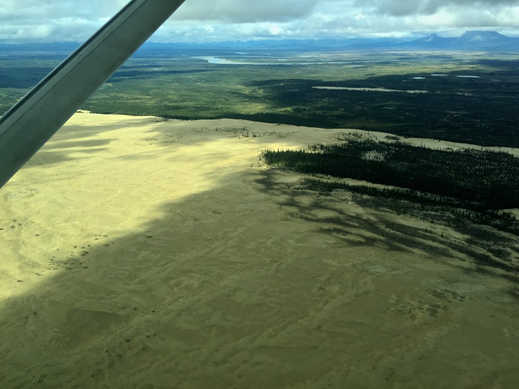 Kobuk Sand Dunes by jetr