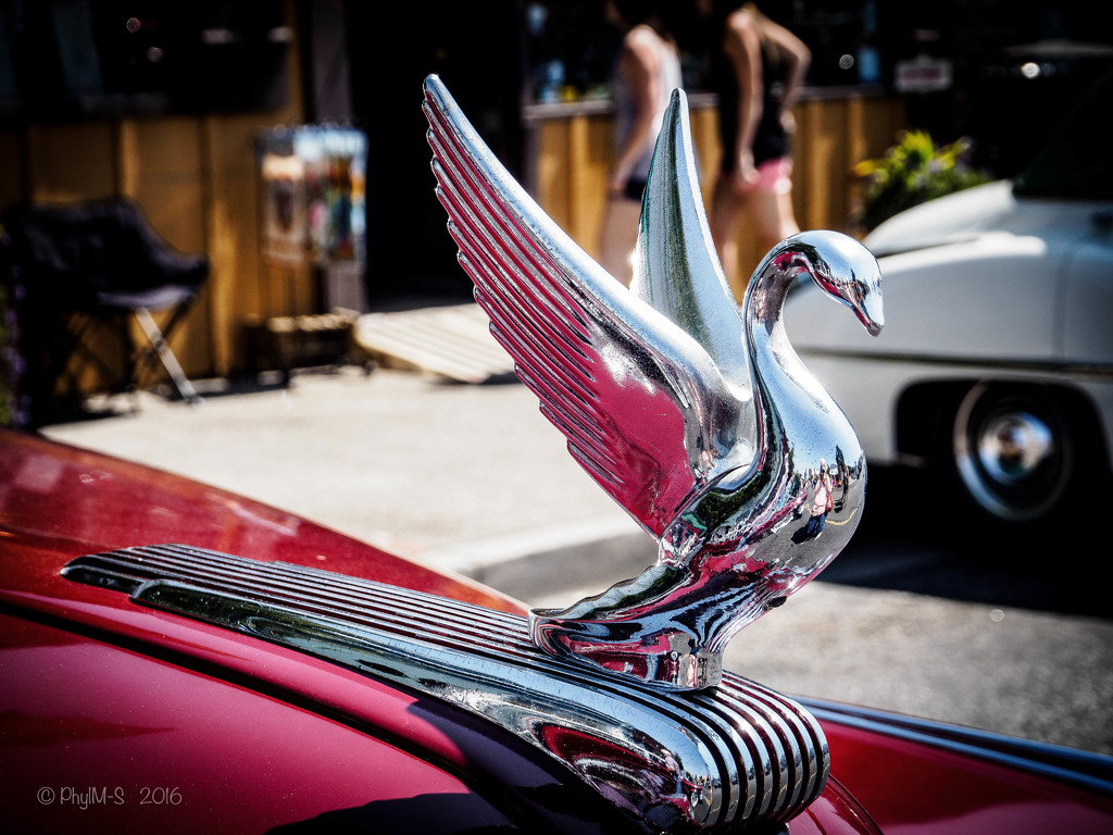 Swan Song of The Hood Ornaments by elatedpixie