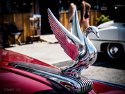 6th Aug 2016 - Swan Song of The Hood Ornaments
