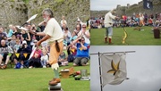 8th Aug 2016 - medieval jester juggling show