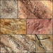 Ediacara Fossils by leestevo