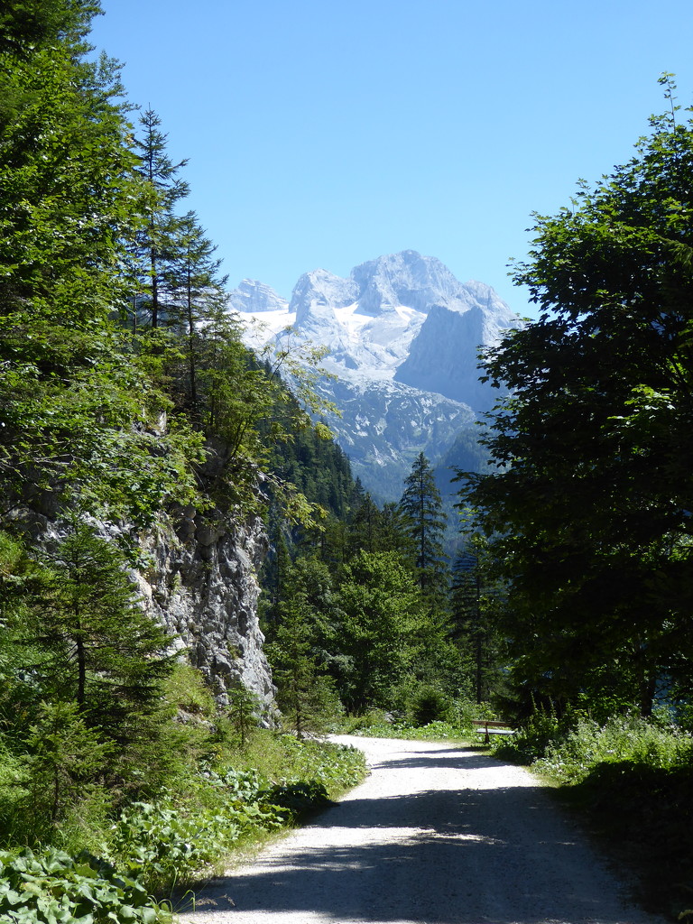 Alpine Walking by cmp