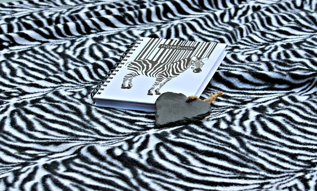 Zebra Stripes. by wendyfrost