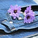 Blue Jeans. by wendyfrost