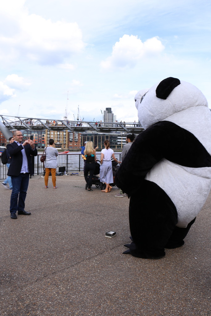 Panda in London! by bizziebeeme