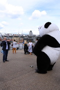2nd Sep 2010 - Panda in London!