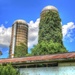 Silos with greenery by mittens