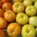 Tomato Rainbow by scoobylou