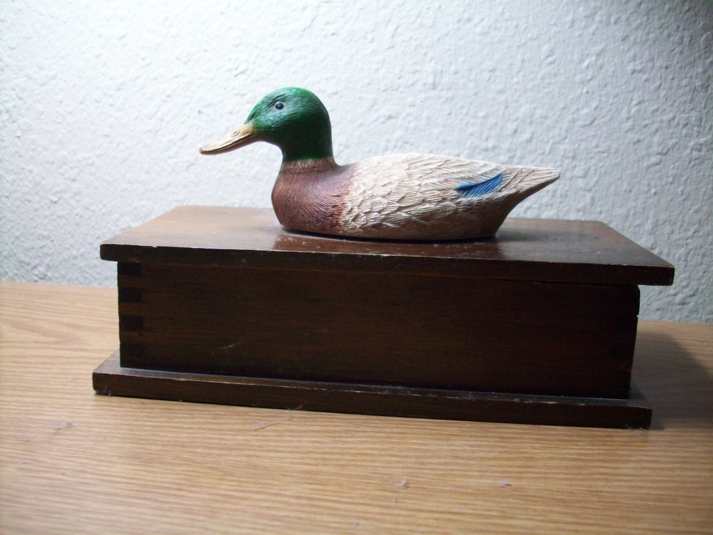 Brooklyn NY wooden Duck box by stillmoments33