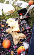 8th Aug 2016 - P is for picnic