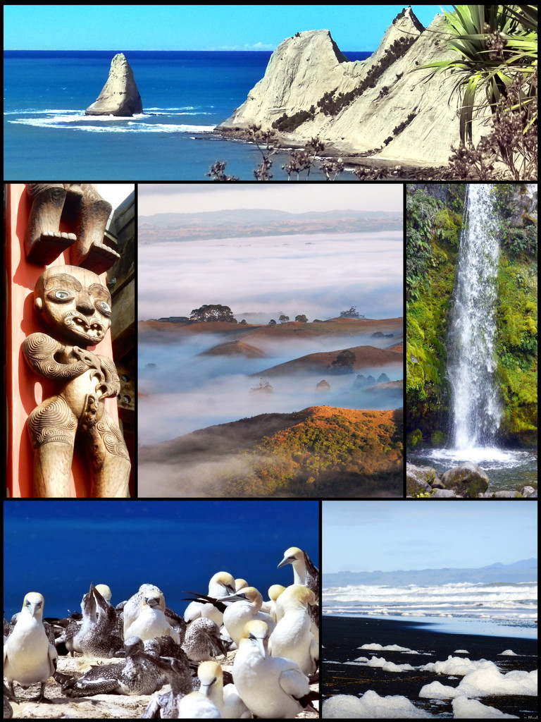 New Zealand in a collage - mfpiac48  by yorkshirekiwi