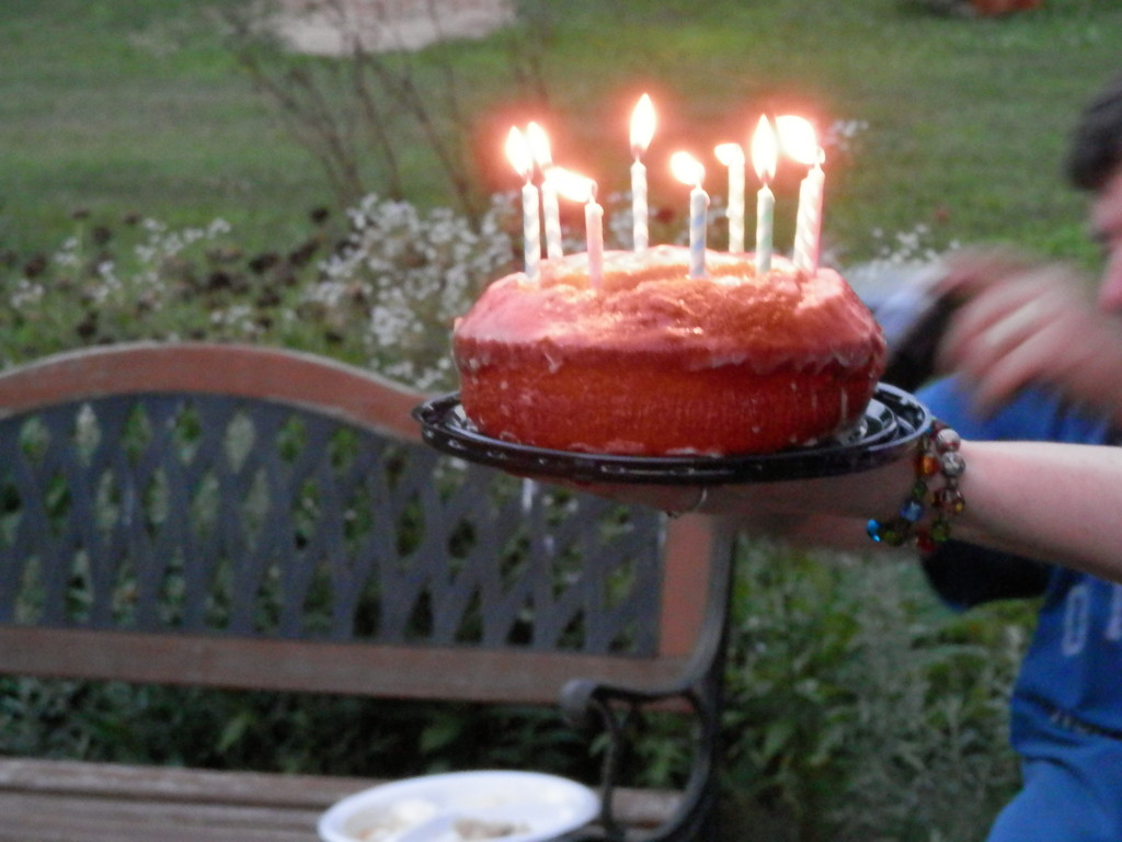 Birthday Cake by julie