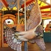 Carousel Bird by deborahsimmerman