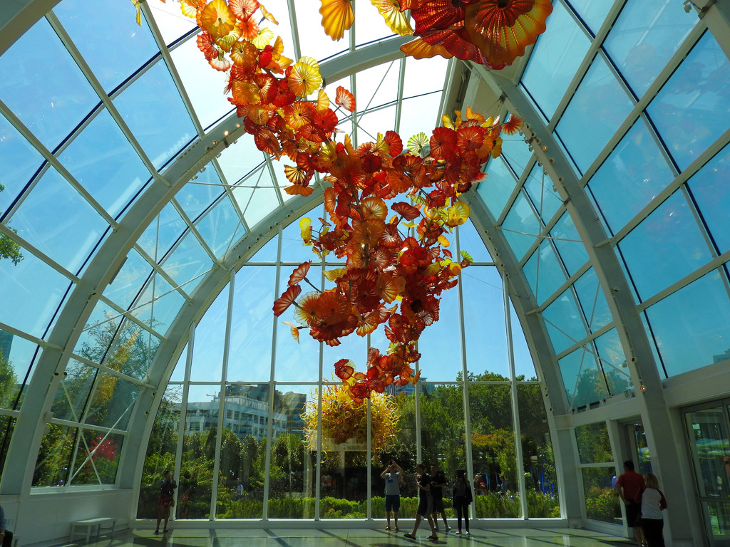 Chihuly, cont. by seattlite