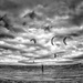 The kite surfers of Bull Island by jack4john