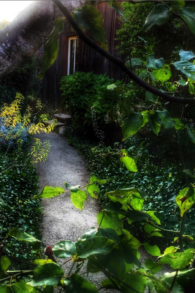 Down the Garden Path by jaybutterfield