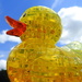 Ducky in the sky! by homeschoolmom