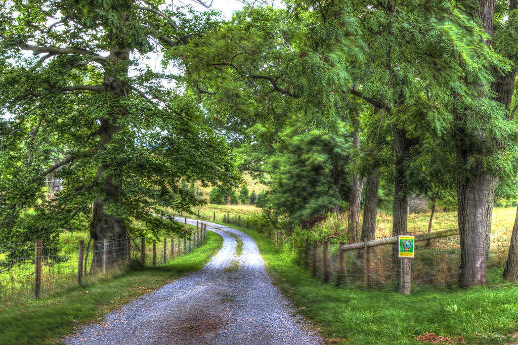 Country Lane by skipt07