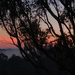sunrise silhouettes by koalagardens