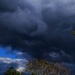 Oh, What a Storm !! by happysnaps